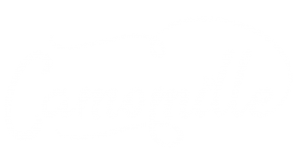 CAMOMILLE-Graphiste Webdesigner Freelance MARSEILLE