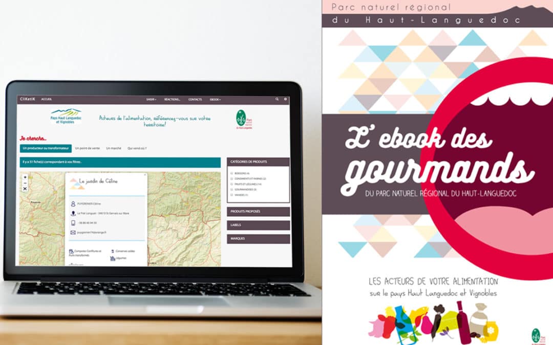 webdesign-yeswiki
