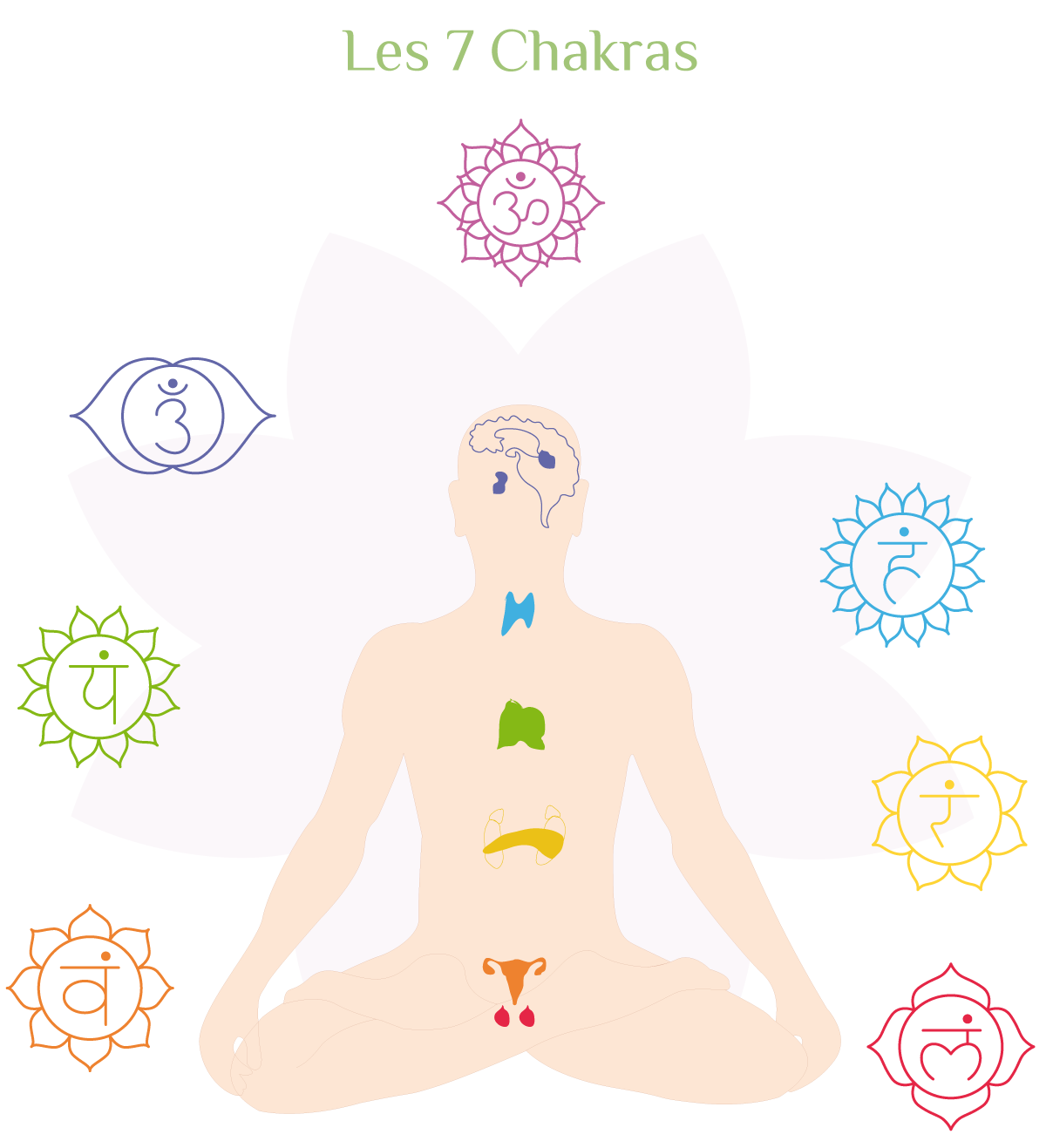 Pause_Yoga_Illustration_Chakras