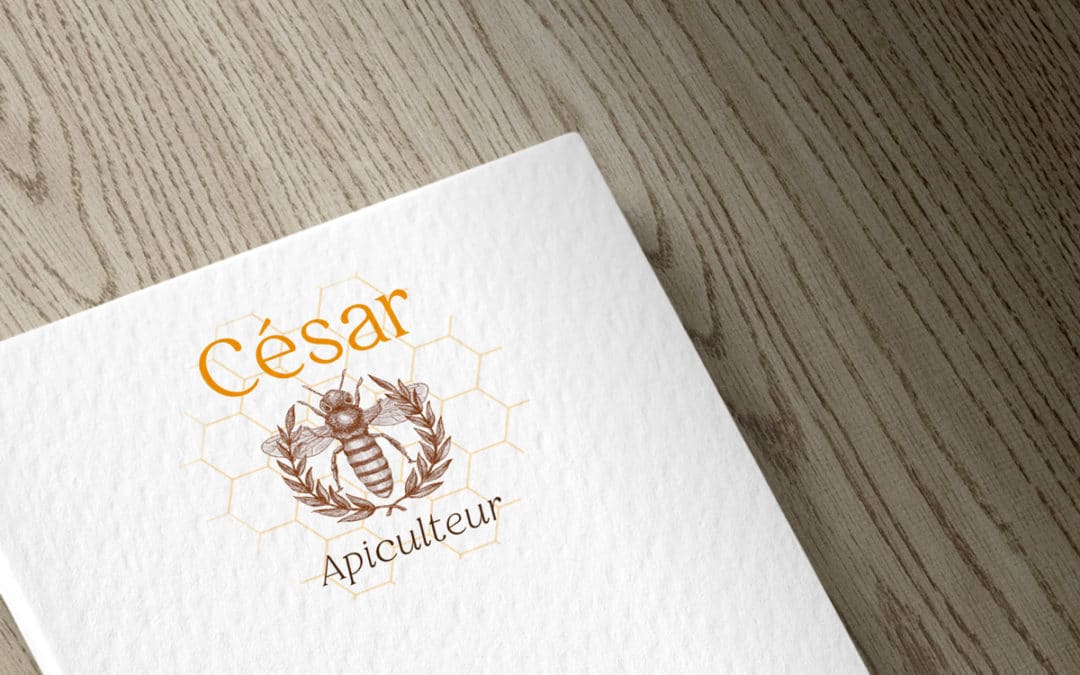 Création d’une communication pour un apiculteur
